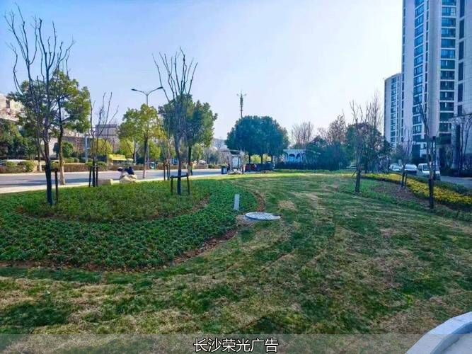 长沙创业园墙_政府大院变社区公园_长沙市拆墙透绿