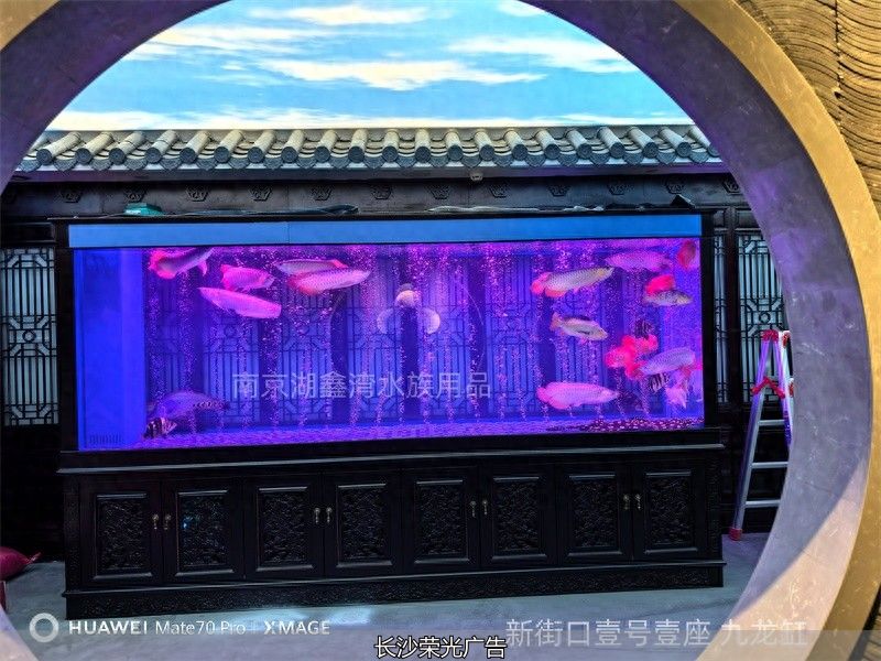 异形鱼缸定制_南京_工艺技术_养殖文化墙定制_鱼缸定制厂家_南京_选购要点